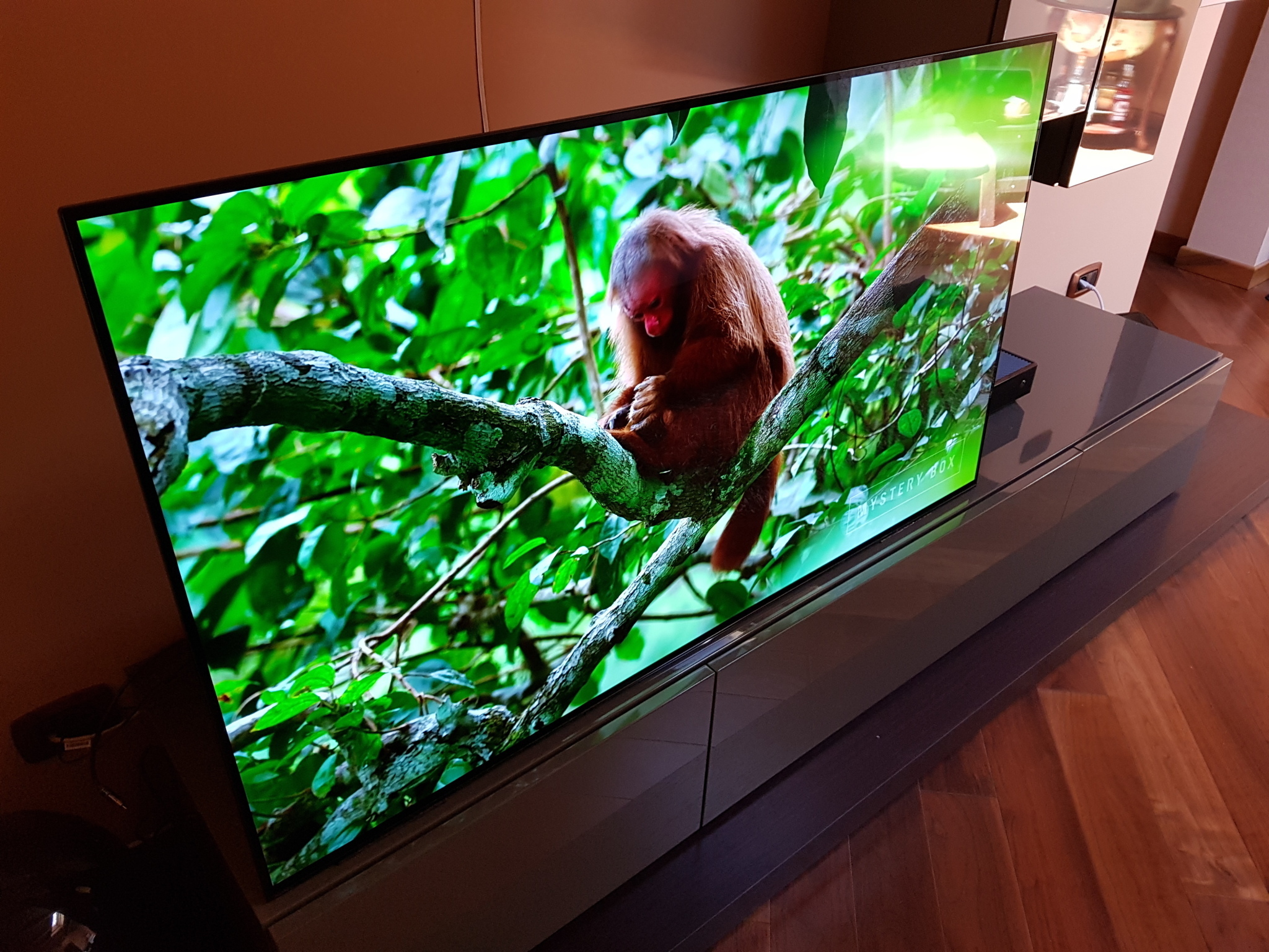 Al momento stai visualizzando Test Sony A1: TV 4K Ultra HD, HDR e Android TV, vi basta?