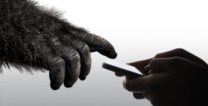 Scopri di più sull'articolo Gorilla Glass 6: 15 cadute da un metro, neanche un graffio