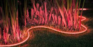 Scopri di più sull'articolo Philips svela per errore le LightStrip per illuminare e colorare il giardino