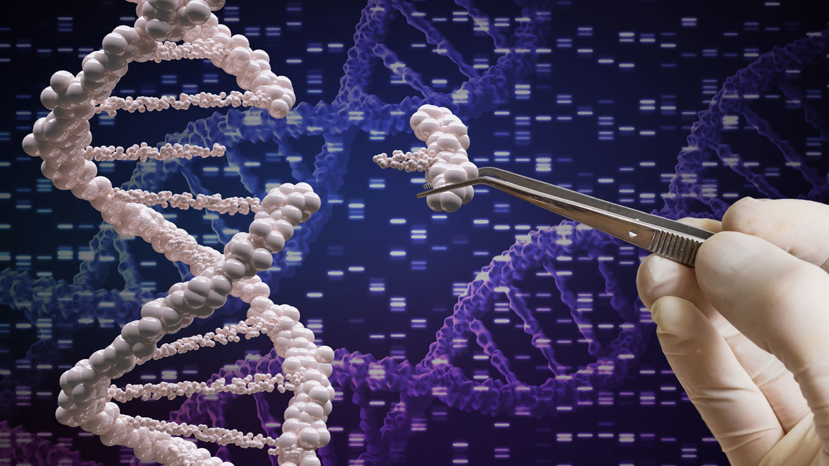 Al momento stai visualizzando Biologia batte informatica, programmare il DNA è il top