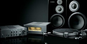 Scopri di più sull'articolo L’impianto stereo da sogno è tutto analogico e costa 20.000 euro