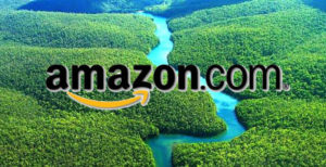 Scopri di più sull'articolo Amazon e l’impatto ambientale: le consegne più veloci fanno male al pianeta
