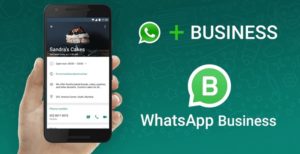Scopri di più sull'articolo WhatsApp Business sbarca su iOS. In Italia non arriverà subito