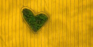 Scopri di più sull'articolo Drone Awards 2019, gli scatti dal cielo sono meravigliosi