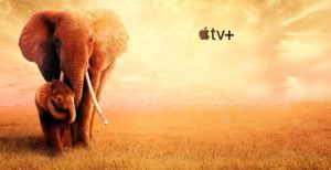 Scopri di più sull'articolo AppleTV+, prime impressioni. Qualità audio video altissima, ma non tutto è perfetto