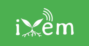 Scopri di più sull'articolo Un collegamento Wi-Fi a 700 km di distanza. Il record del Politecnico di Torino