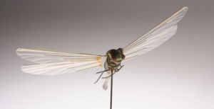 Scopri di più sull'articolo La CIA aveva costruito una libellula robot. Questi sono i suoi segreti