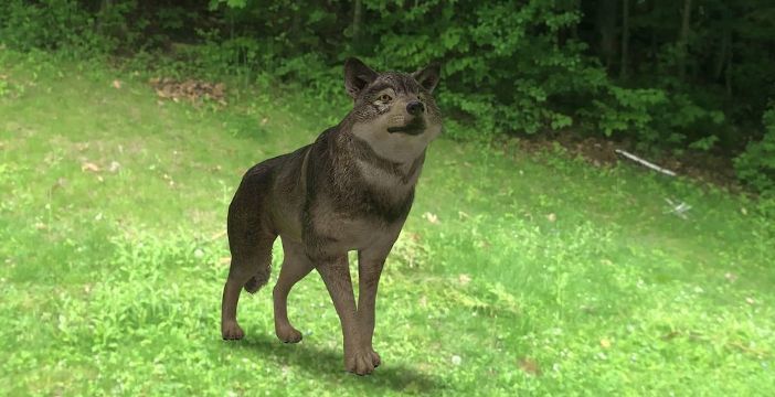 Al momento stai visualizzando Cerchi un leone su Google e puoi vederlo in soggiorno. Come funzionano i modelli 3D in realtà aumentata