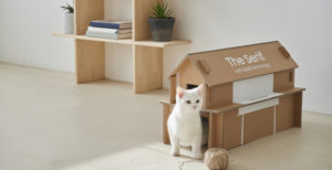 Scopri di più sull'articolo La scatola della TV diventa una cuccia per il gatto. La svolta ecologica di Samsung