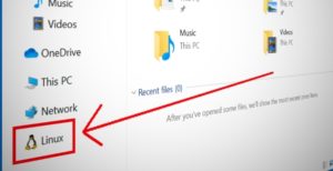 Scopri di più sull'articolo Windows 10 sempre più aperto: file e cartelle Linux ora si navigano in Esplora Risorse