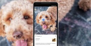 Scopri di più sull'articolo Google Lens si aggiorna: arriva il copia incolla del testo dalla carta al PC