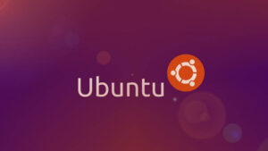 Scopri di più sull'articolo Microsoft Office su Linux? Il momento è forse vicino