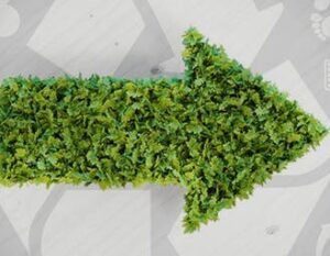 Scopri di più sull'articolo Via libera ai nuovi fondi per auto elettriche: 20 milioni di incentivi fino a fine anno