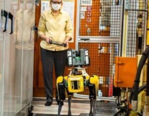 Scopri di più sull'articolo Ford ha assunto due robot a quattro zampe: da agosto lavoreranno nella fabbrica americana di Van Dyke