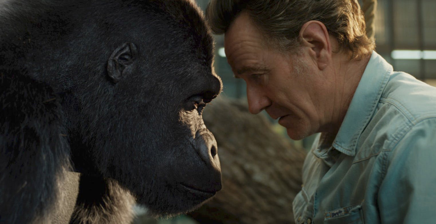 Frozen II, Il Richiamo della Foresta e Becoming, le novità Disney+ di settembre