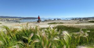 Scopri di più sull'articolo Le foto fatte con i nuovi Pixel dimostrano che 12 megapixel, usati bene, sono più che sufficienti