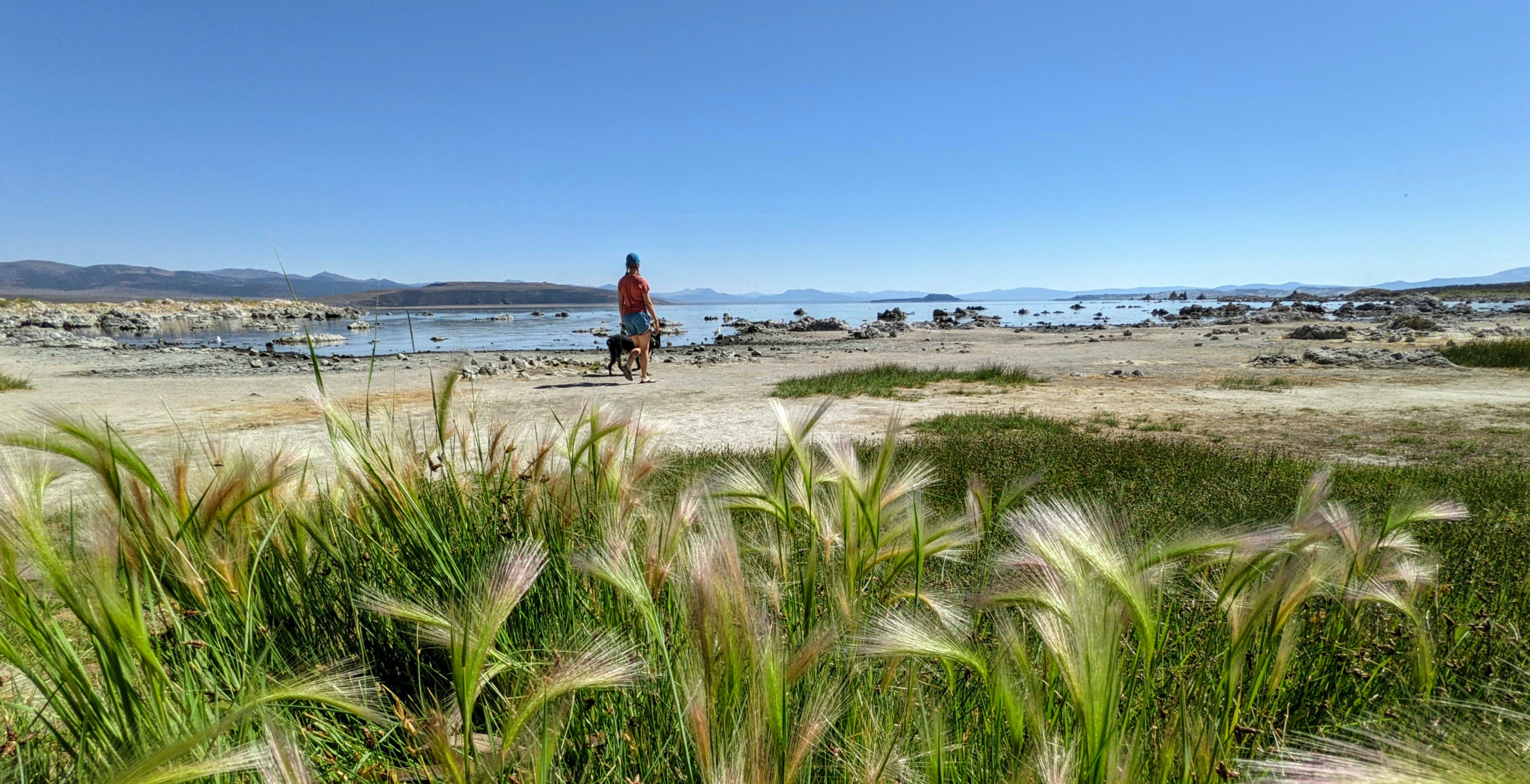 Scopri di più sull'articolo Le foto fatte con i nuovi Pixel dimostrano che 12 megapixel, usati bene, sono più che sufficienti