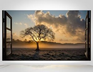 Scopri di più sull'articolo Tutti i contenuti 8K che puoi già vedere oggi sui QLED 8K di Samsung