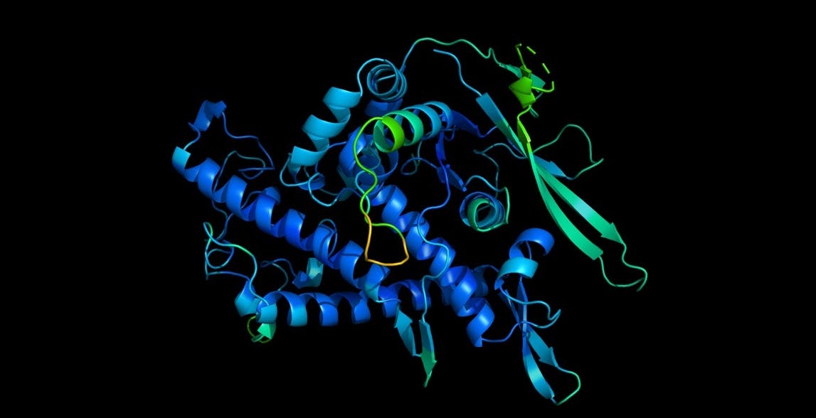 L’IA di Google può capire la forma delle proteine in una manciata di giorni. Una svolta epocale nella scienza