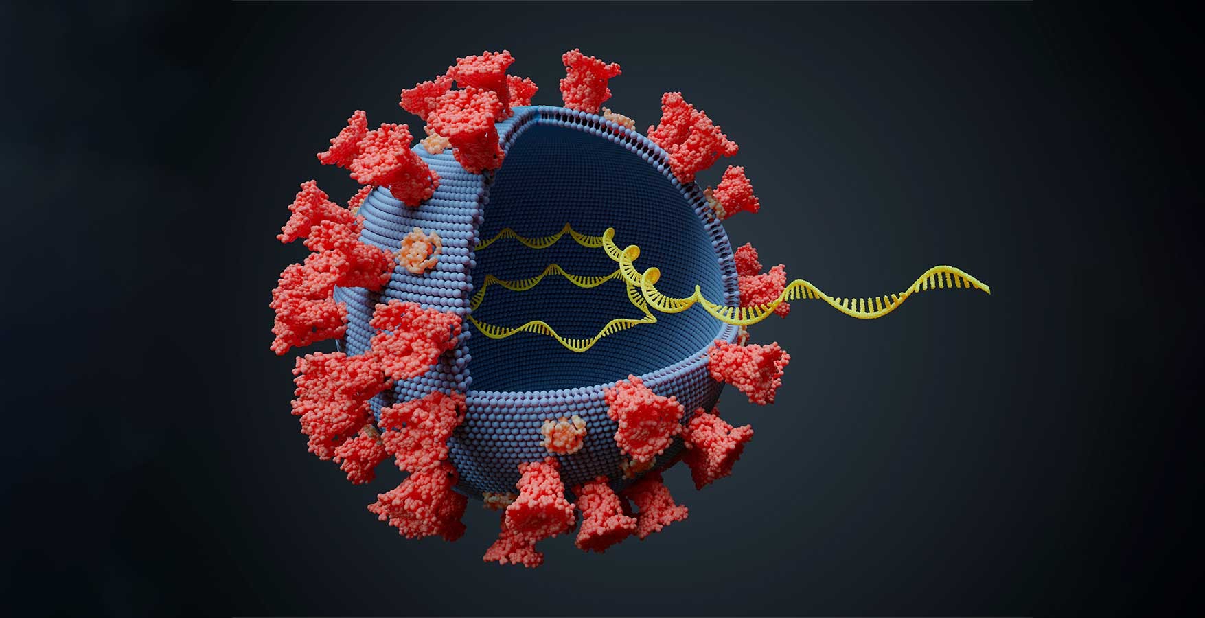 Il vaccino Pfizer è stato sviluppato come un software. Il codice sorgente ci racconta come e perché funziona