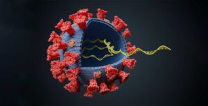 Scopri di più sull'articolo Il vaccino Pfizer è stato sviluppato come un software. Il codice sorgente ci racconta come e perché funziona