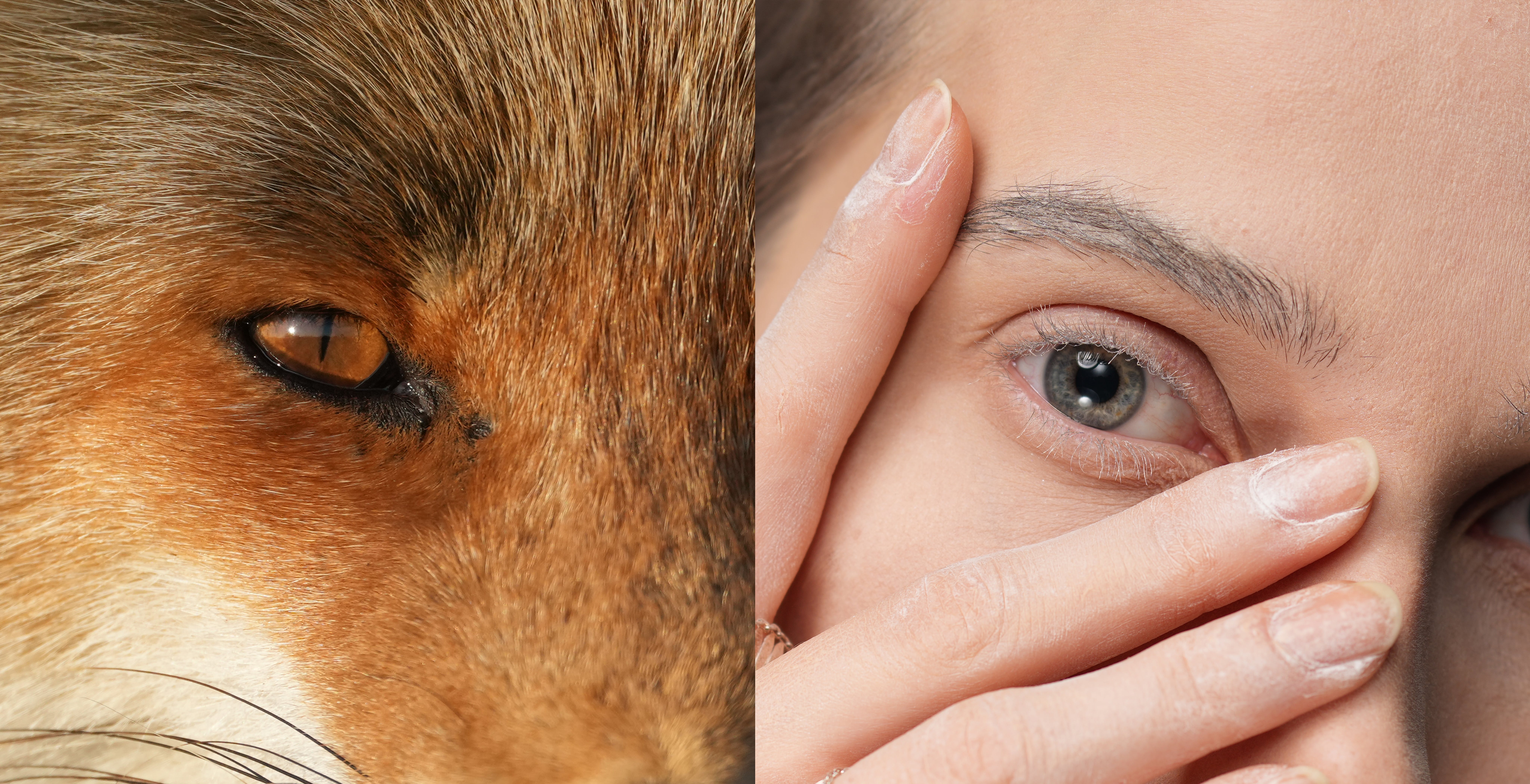 Al momento stai visualizzando Sony Alpha 1, spuntano le prime foto da 50 MP scattate con la nuova full frame