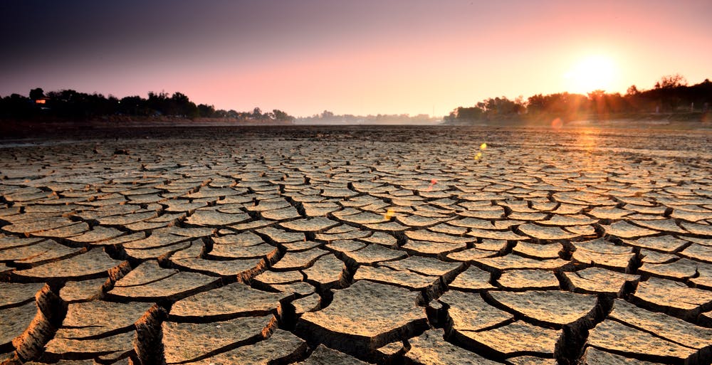 Ci si mette anche la siccità: TSMC ha poca acqua per la produzione di chip. In arrivo i camion cisterna