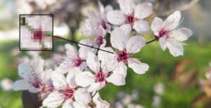 Scopri di più sull'articolo Le fotocamere degli smartphone sono eccezionali, basta saperle usare. L’unico problema si chiama Jpeg