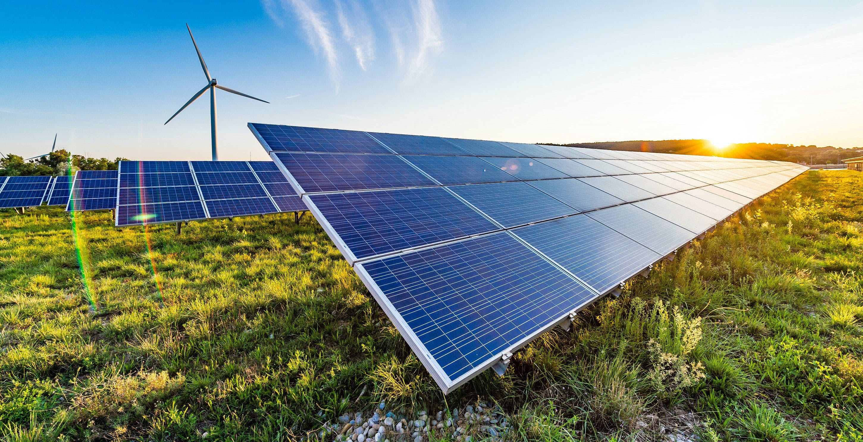 Pannelli immersi tra ulivi e aranceti: in Sicilia due parchi solari per fornire energia verde ad Amazon