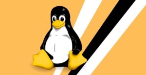 Scopri di più sull'articolo Un’università americana è stata bandita dalla comunità di Linux perché distribuiva appositamente patch con bug