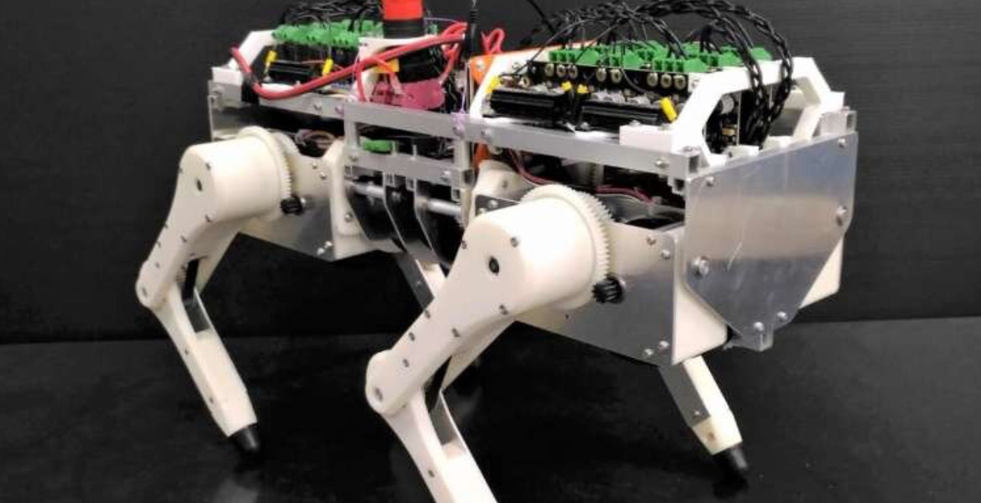 Questo gatto-robot permette di fare ricerca senza sperimentazione sugli animali vivi