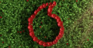 Scopri di più sull'articolo Vodafone, da luglio tutta la rete europea sarà alimentata da fonti rinnovabili