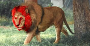 Scopri di più sull'articolo Ora Brave ha il suo motore di ricerca: non traccia gli utenti e ha un indice indipendente