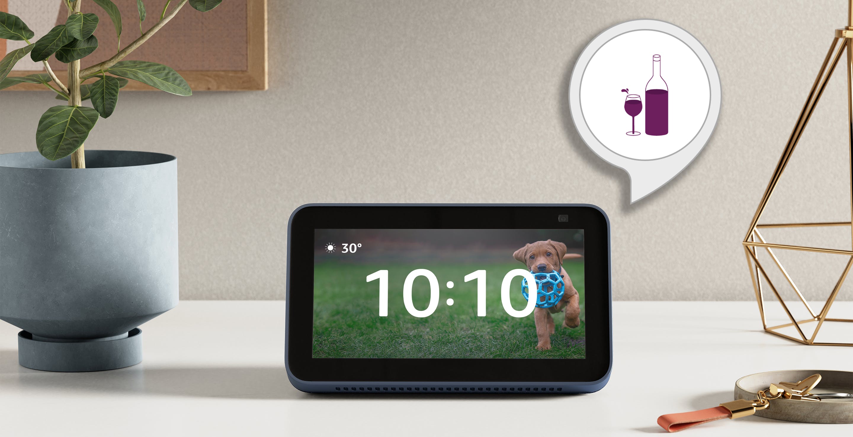 Scopri di più sull'articolo Alexa ora può consigliare anche i vini: è arrivata la skill “Vino Perfetto”