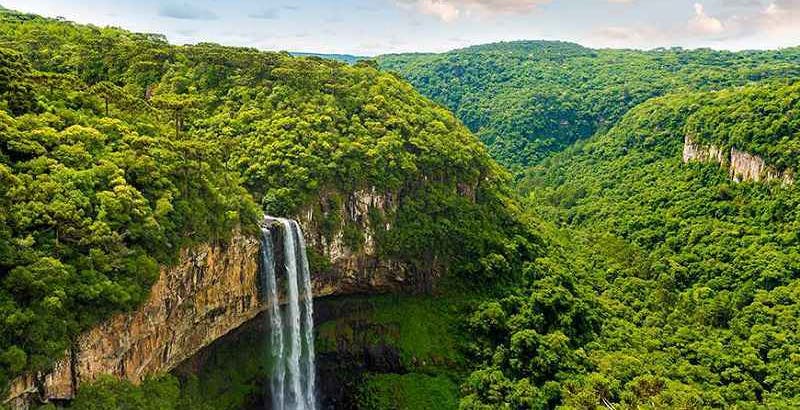 L'Amazzonia brucia e gli scienziati lanciano l'allarme: la foresta non basta più ad assorbire così tanta CO2