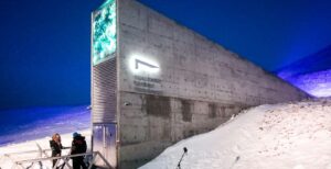 Scopri di più sull'articolo Un caveau sotto il ghiaccio per proteggere la musica di tutto il mondo per oltre 1000 anni