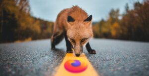 Scopri di più sull'articolo Firefox ha scoperto come aggirare i blocchi di Windows 10. Può diventare browser predefinito con un solo clic