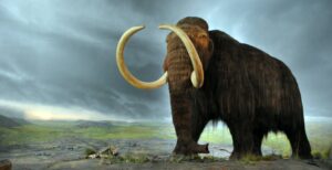 Scopri di più sull'articolo Pleistocene Park: ridare vita ai mammuth estinti per combattere il riscaldamento climatico