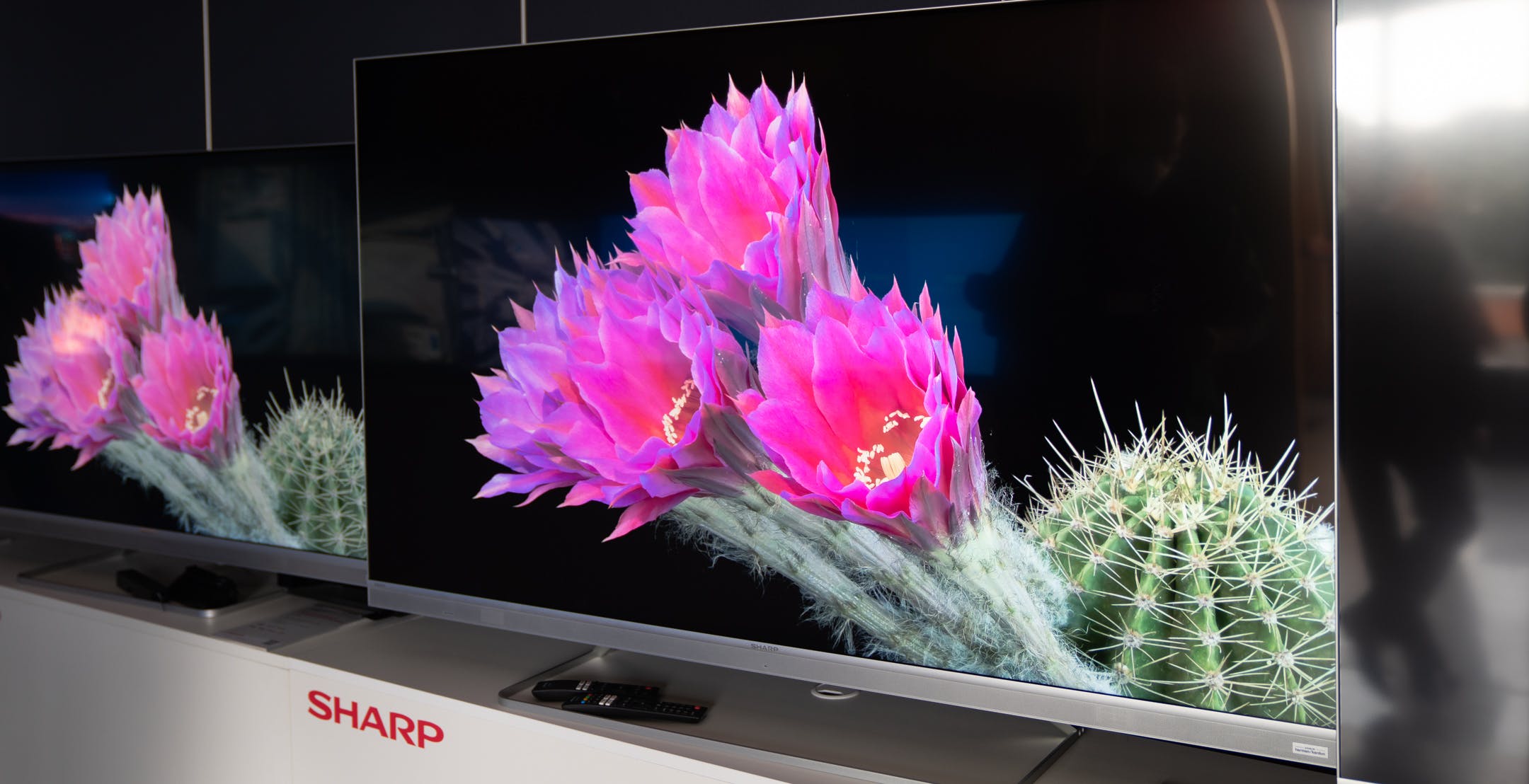 Sharp torna con decisione sul mercato italiano: TV, audio, purificatori e forni