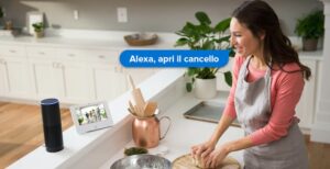 Scopri di più sull'articolo 1Control LINK apre il cancello di casa anche con i comandi vocali