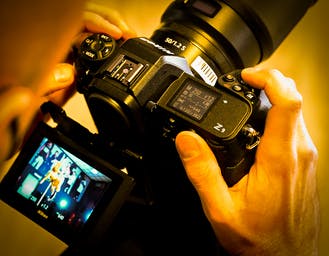 Al momento stai visualizzando Nikon Z9, primi scatti e prime riprese. Dire alle reflex di andare in pensione senza dirglielo