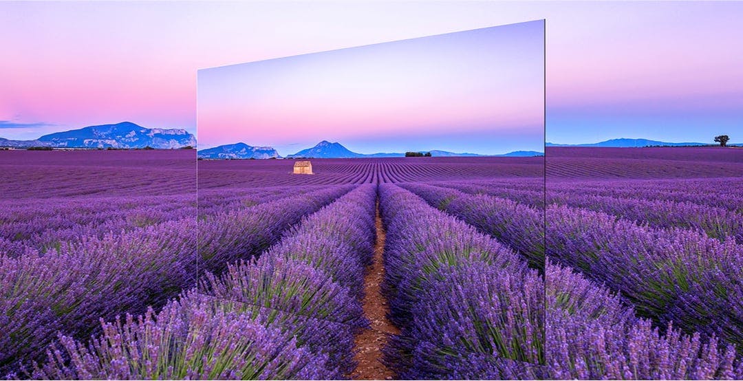 Non c'è ancora l'accordo tra Samsung Electronics e LG Display sull'OLED. Il nodo del prezzo