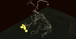 Scopri di più sull'articolo Come si formano i fulmini in una nuvola: un radiotelescopio ha dato la risposta definitiva