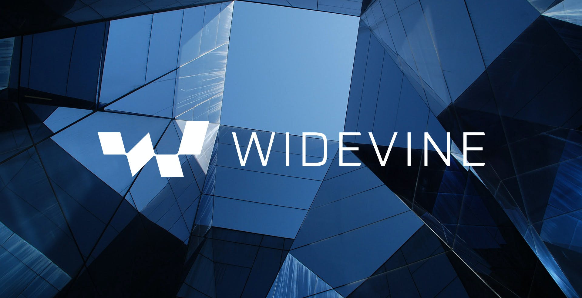 Scopri di più sull'articolo Widewine Dump, qualcuno ha pubblicato i programmi per scaricare video 4K da Netflix, Amazon e Disney+