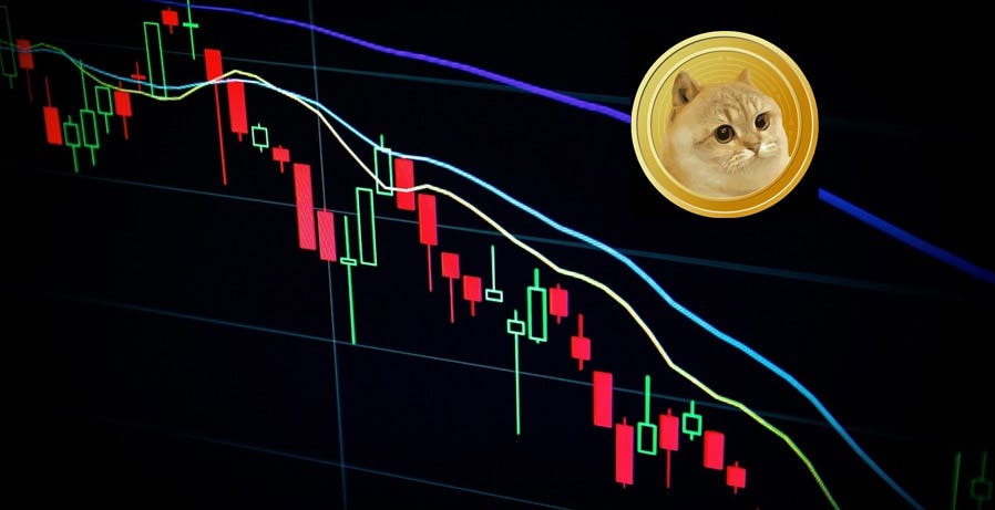 Al momento stai visualizzando Catge, finale scontato. Chi sperava di diventare ricco è rimasto con pochi spiccioli