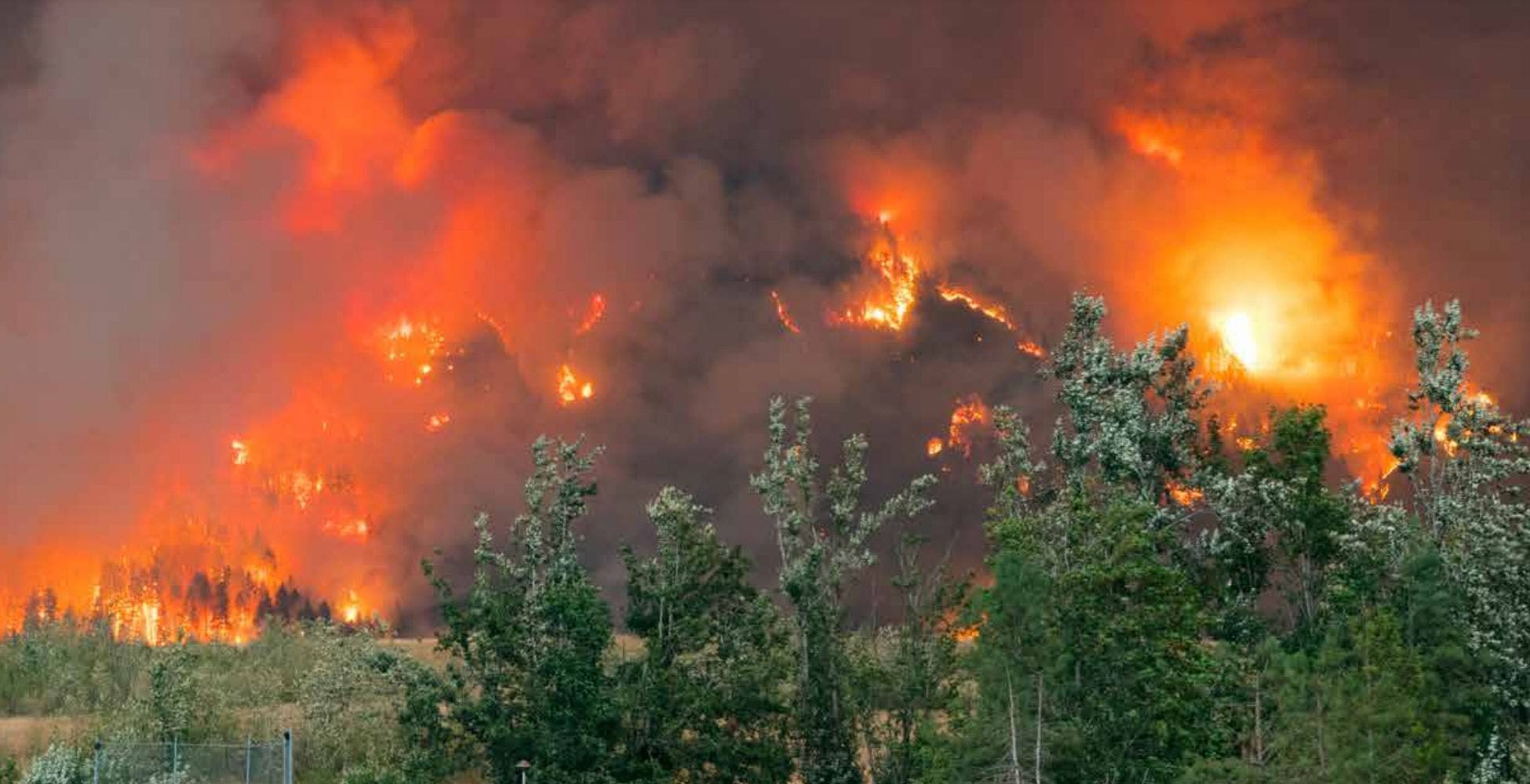 Scopri di più sull'articolo L’ONU avverte: il numero di incendi aumenterà del 50% entro il 2100 e i governi non sono preparati